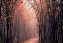 [乒乓球]梁靖崑逆转晋级男单十六强.