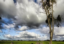 发球无敌+闯入决赛！德约科维奇两盘淘汰迪米特洛夫，100冠在招手.