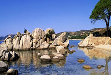 发球无敌+闯入决赛！德约科维奇两盘淘汰迪米特洛夫，100冠在招手.